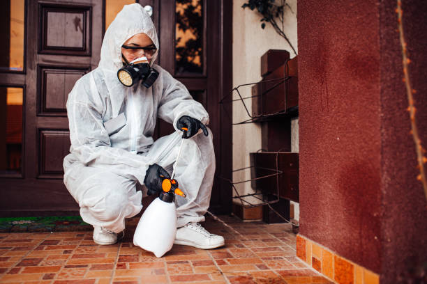 Reliable Cockroach Control contractor in Farm Loop, AK by Nex Pest Control